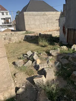 Land and Plot