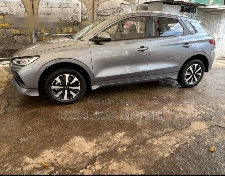 BYD E2 43 kWh 94 hp FWD 2024 Gray