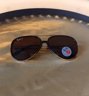 Brown Frame RayBan Sunglasses