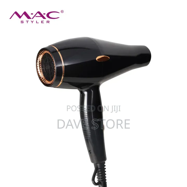 Professional Hair Dryer