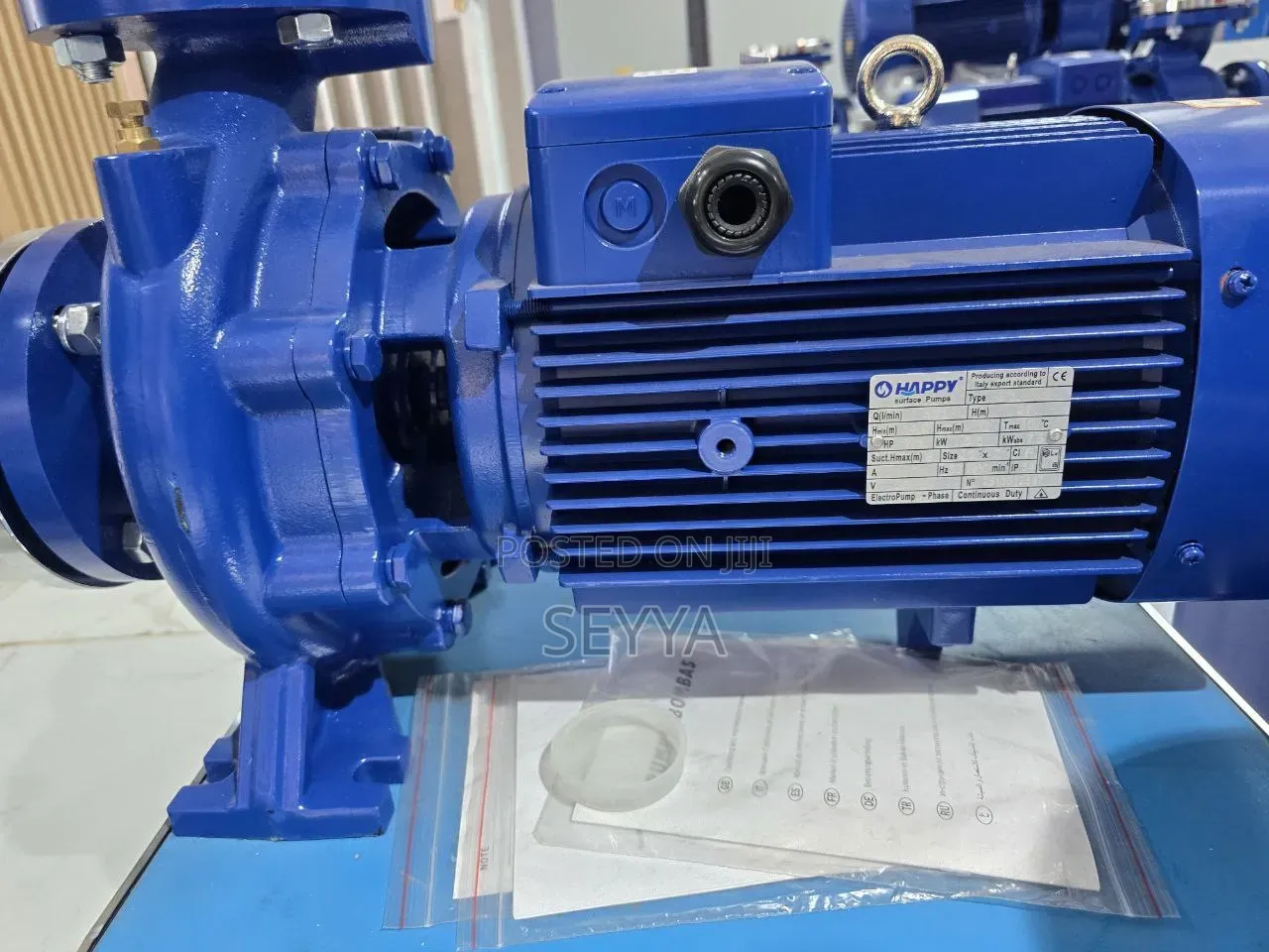 Hevy Duty Surface Pump