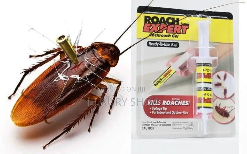 Roach Expert/ Cockroach Gel የበረሮ መግደያ ጄል