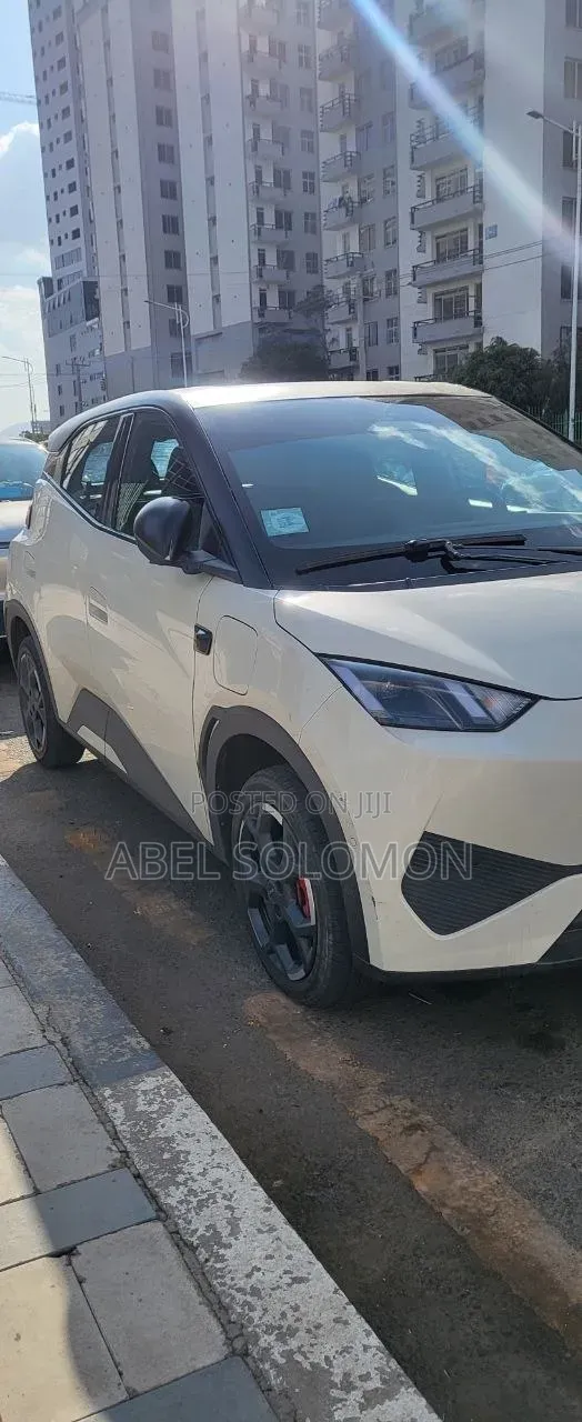 BYD Seagull 2025 White