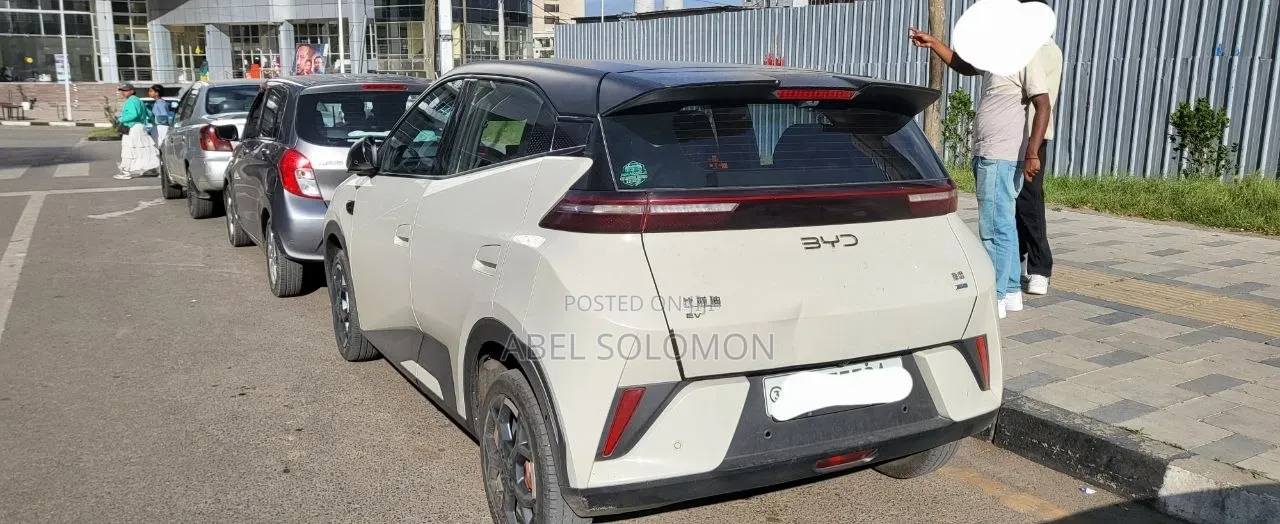 BYD Seagull 2025 White