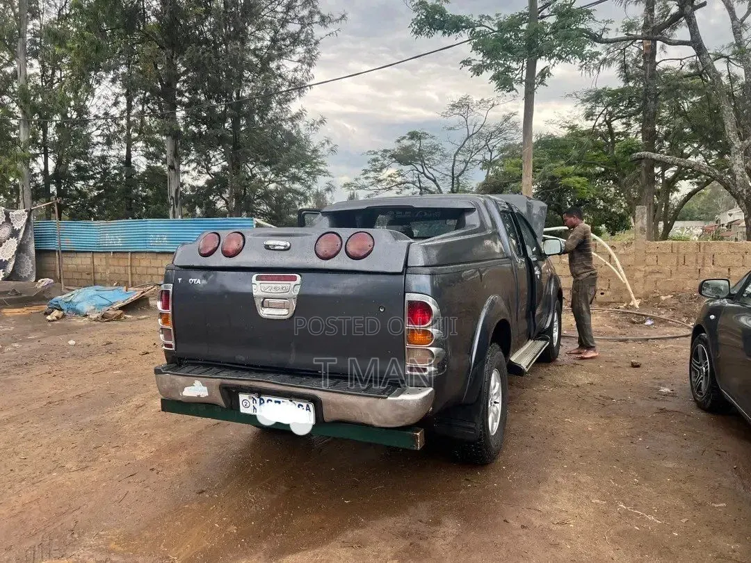 Toyota Hilux 2010 Gray
