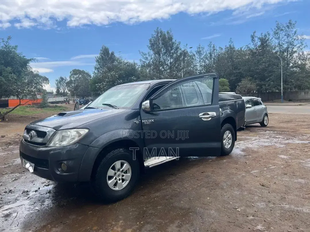 Toyota Hilux 2010 Gray