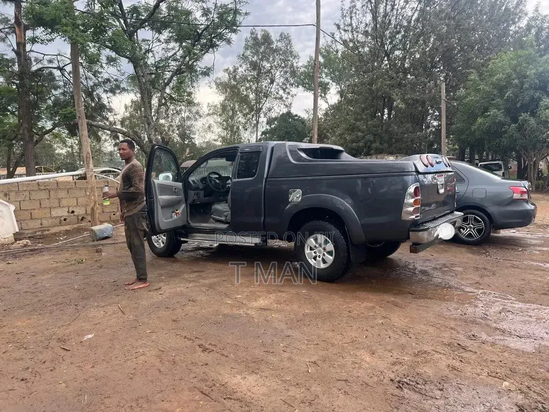 Toyota Hilux 2010 Gray