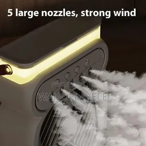 Duel Use Air Cooler Fan and Humidifier