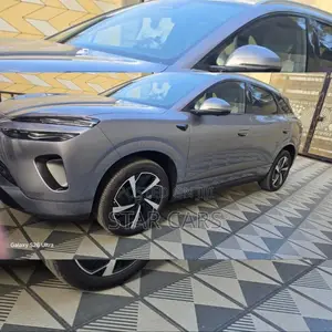 New BYD Sealion 06 EV 2025 Gray