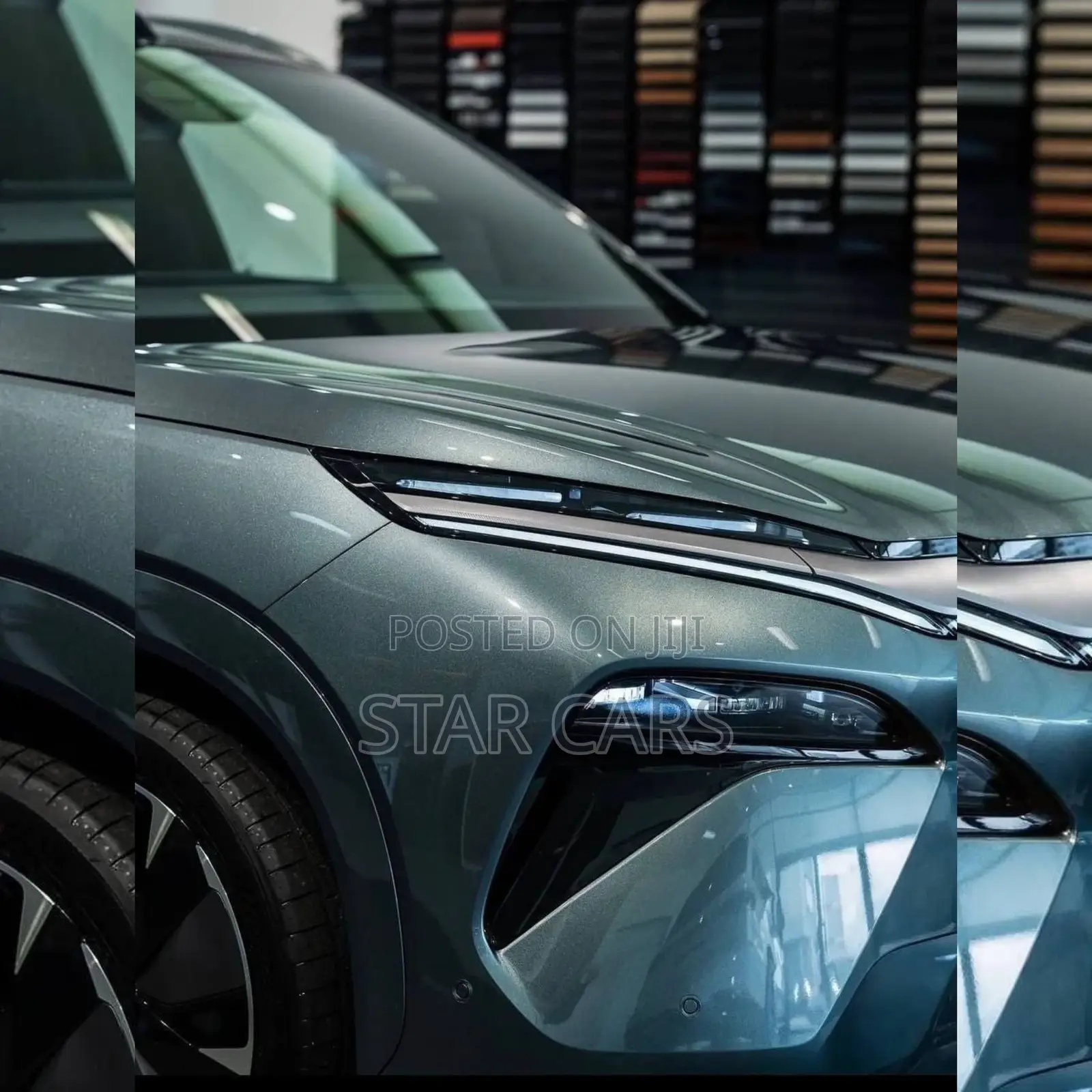 New BYD Tang EV 2025 Green