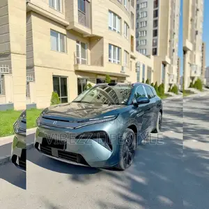 New BYD Tang EV 2025 Green