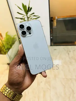 Apple iPhone 15 Pro Max 256 GB Gray