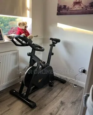 European Standard Reebok FR30 Exercise Bike