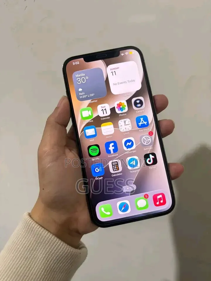 New Apple iPhone 12 Pro Max 256 GB