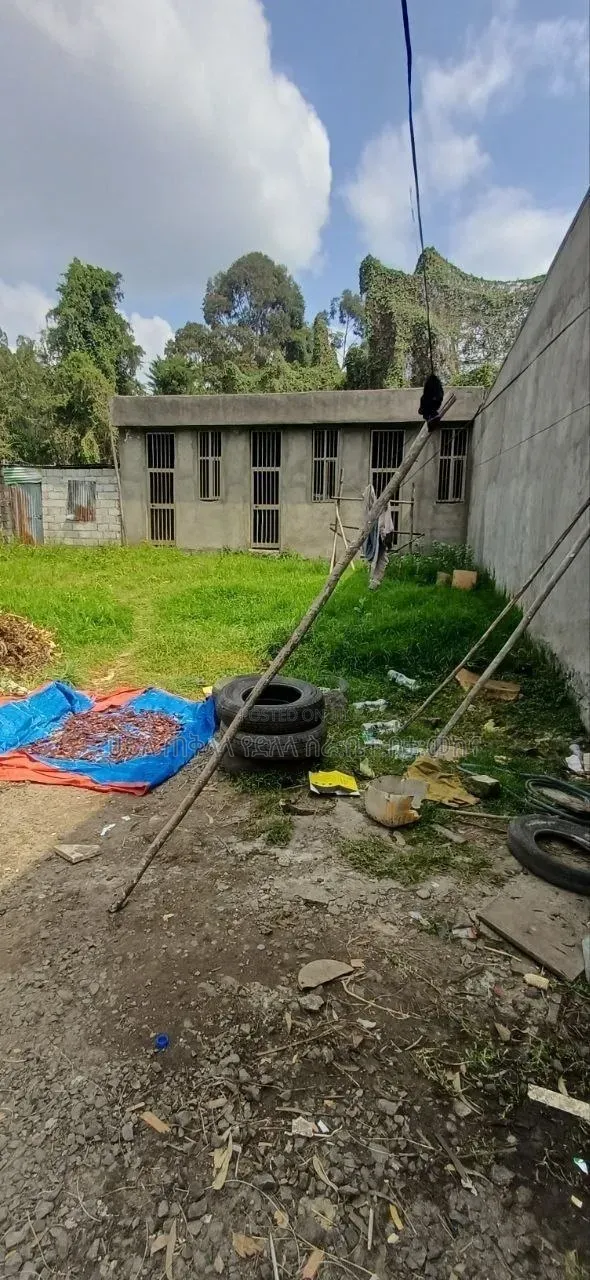 የሚሸጥ 250 ካሬ.ሜትር የስም ማዞርያ ሠርቪስ ቤት ያለው ቦታ ሽያጭ አያት ኮንዶሚንየም ጀርባ ኮምፋውንድ ውስጥ