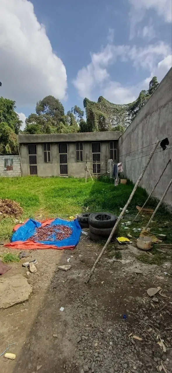 የሚሸጥ 250 ካሬ.ሜትር የስም ማዞርያ ሠርቪስ ቤት ያለው ቦታ ሽያጭ አያት ኮንዶሚንየም ጀርባ ኮምፋውንድ ውስጥ