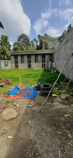 የሚሸጥ 250 ካሬ.ሜትር የስም ማዞርያ ሠርቪስ ቤት ያለው ቦታ ሽያጭ አያት ኮንዶሚንየም ጀርባ ኮምፋውንድ ውስጥ