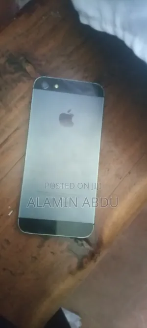 Apple iPhone 5 32 GB Gray