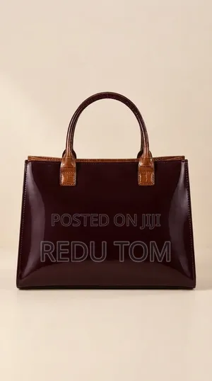 Stylish Ladies Handbag – New Design