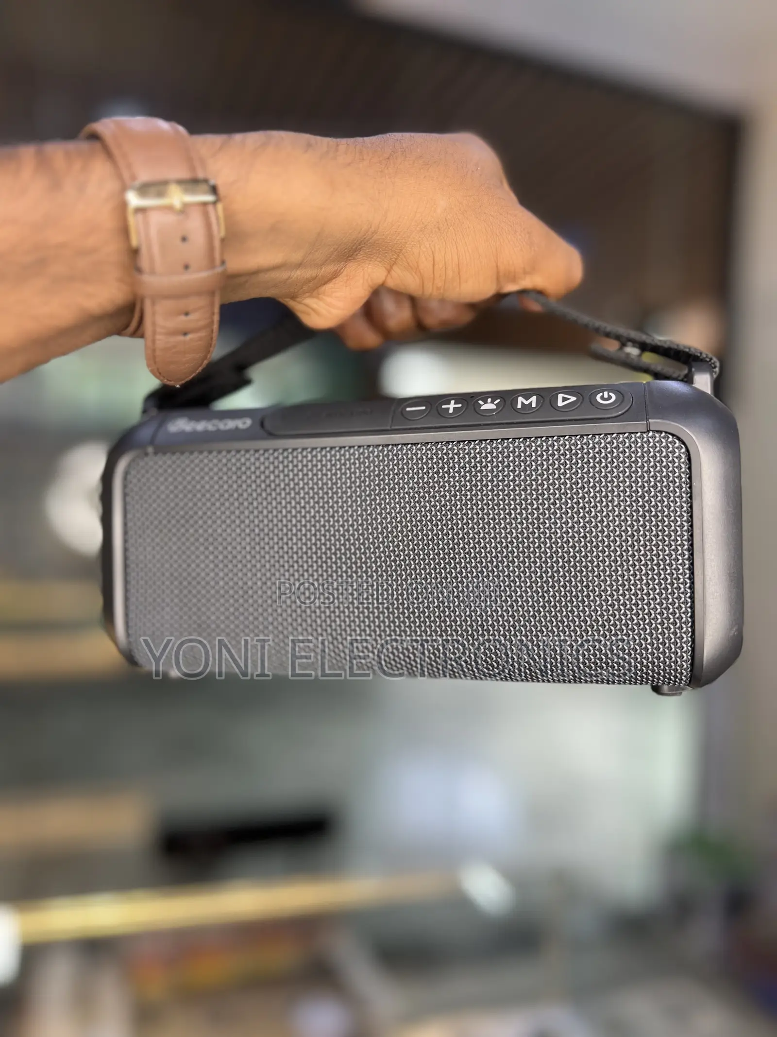 Beecaro BX100A Outdoor/Indoor Wireless Speaker