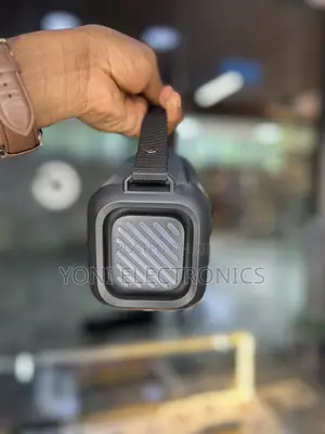Beecaro BX100A Outdoor/Indoor Wireless Speaker