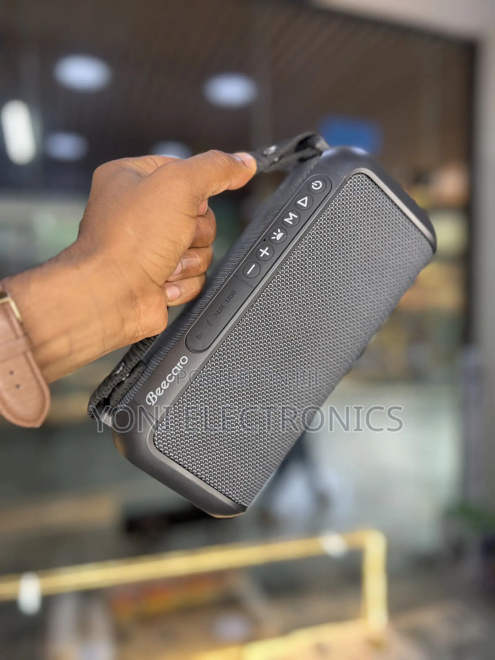 Beecaro BX100A Outdoor/Indoor Wireless Speaker