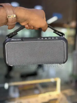 Beecaro BX100A Outdoor/Indoor Wireless Speaker