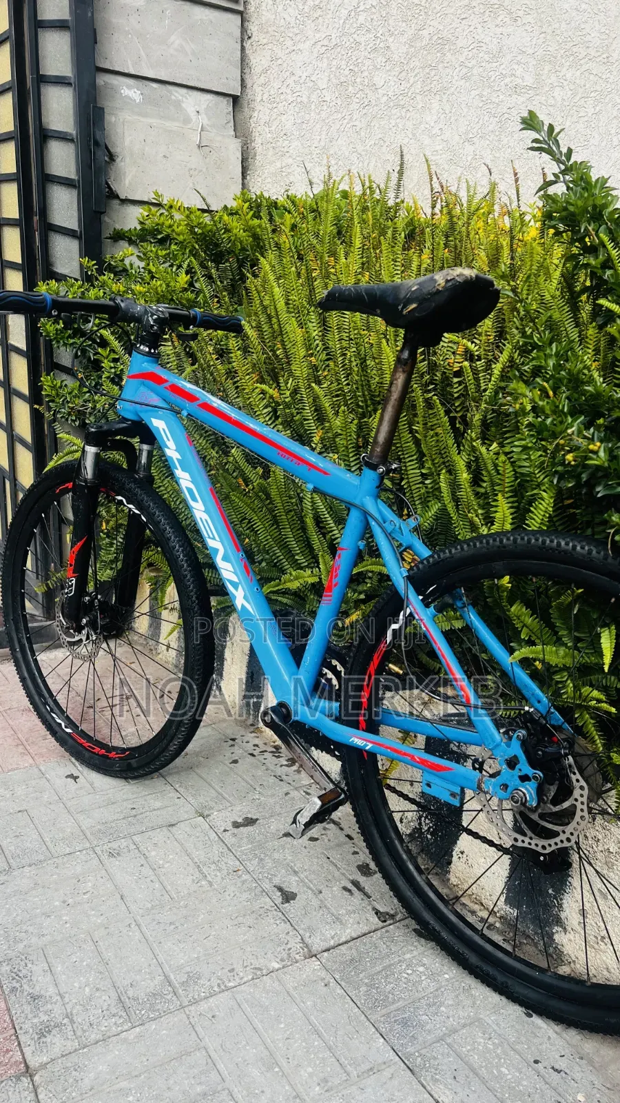 Bike Phoenix