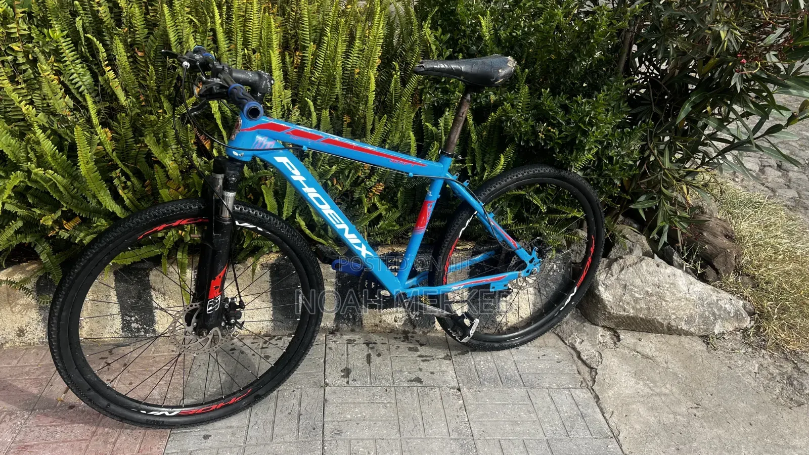Bike Phoenix