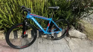 Bike Phoenix