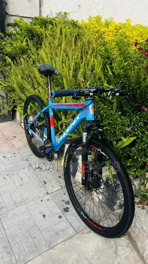 Bike Phoenix