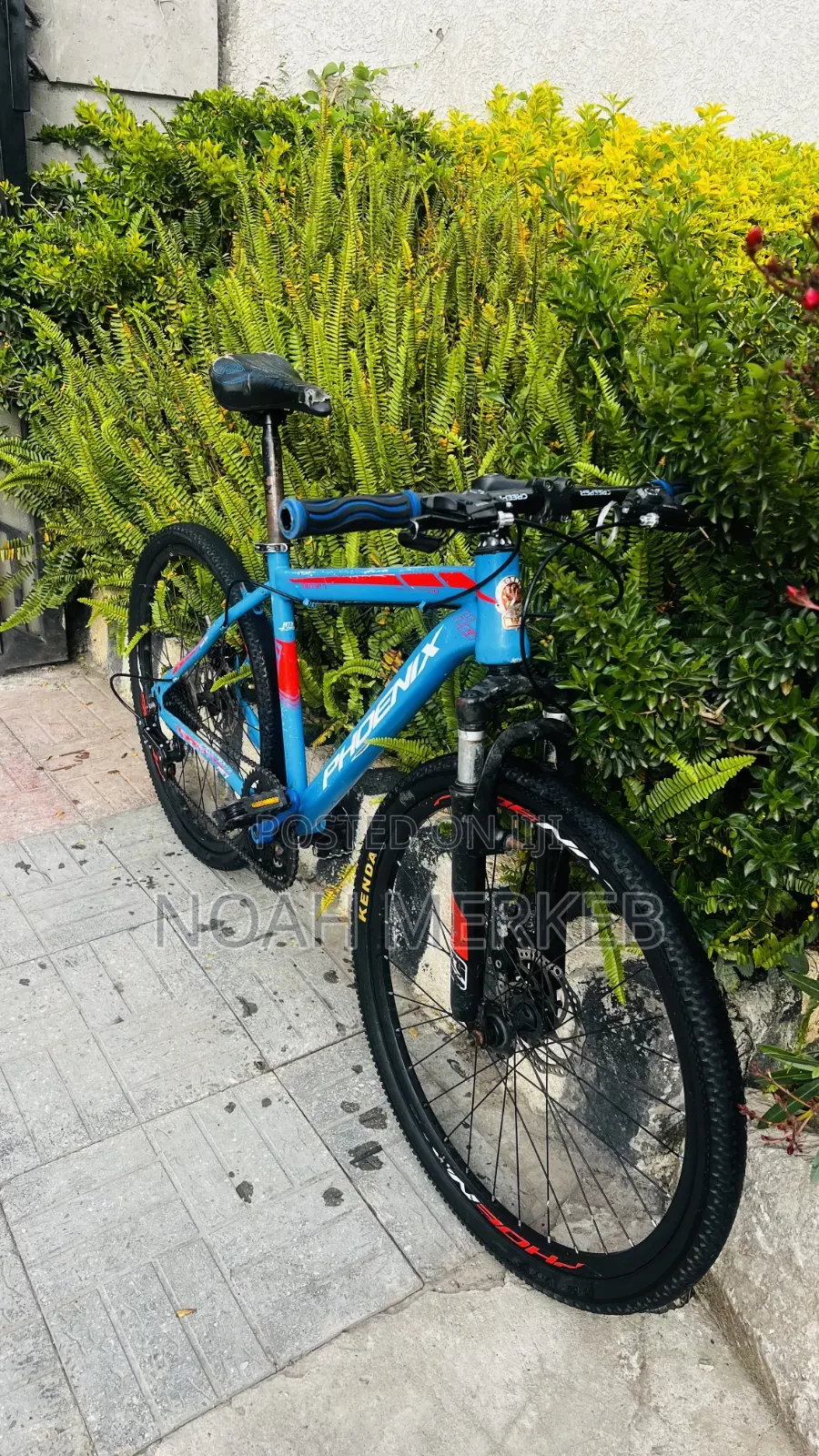 Bike Phoenix