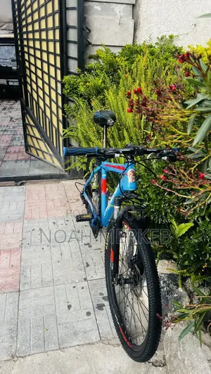 Bike Phoenix