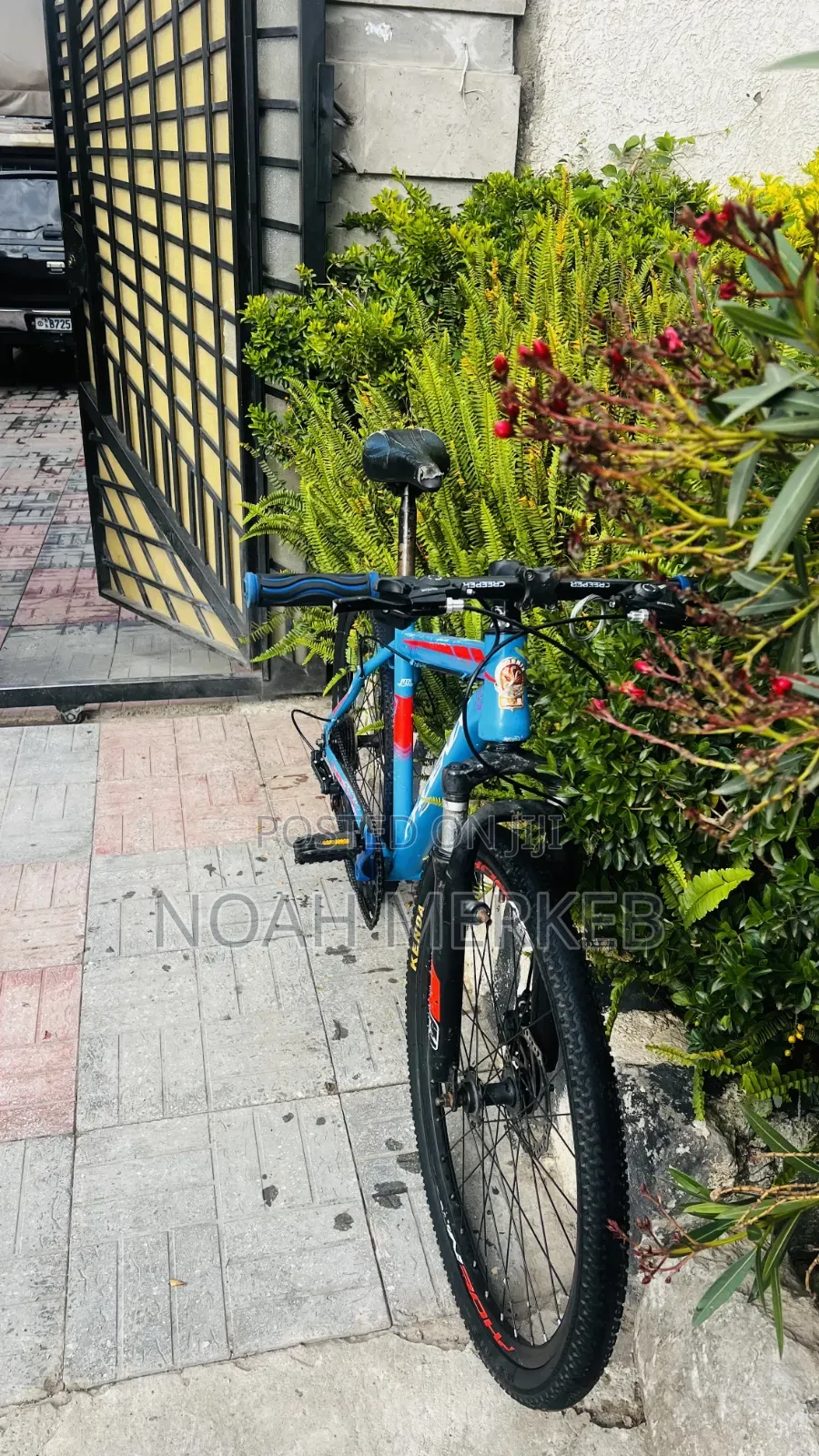 Bike Phoenix