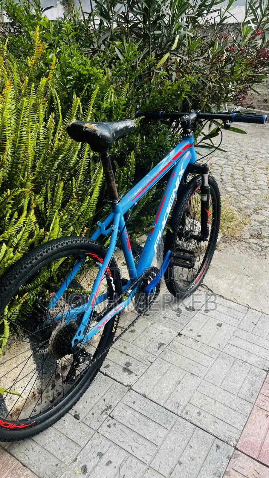 Bike Phoenix
