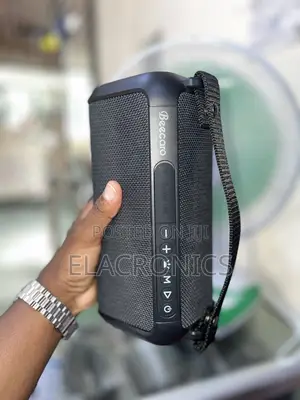 Beecaro 20W Wireless Speaker (RGB TWS) Outdoor Indoor