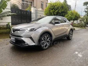 Toyota C-HR XLE Prermium FWD (2.0L 4cyl 2AM) 2018 Silver