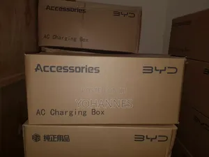 BYD Charger