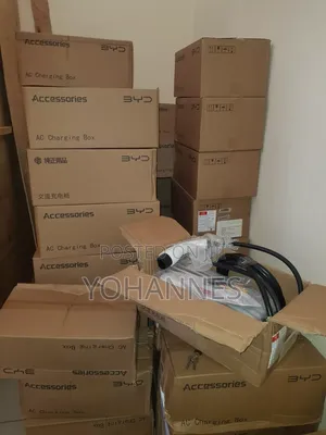 BYD Charger