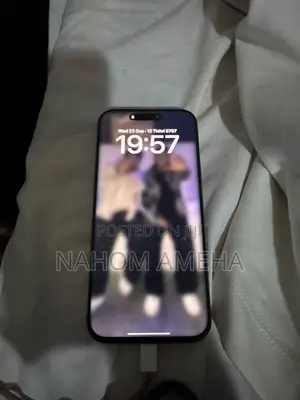 Apple iPhone 16 Pro Max 256 GB Gray