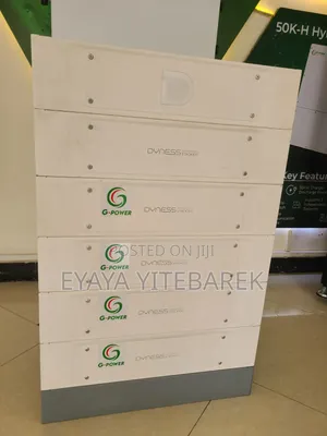 60kw Srne Inverter With (10kw*6)60kw Lithium Battery