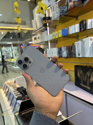 Apple iPhone 15 Pro Max 256 GB Silver