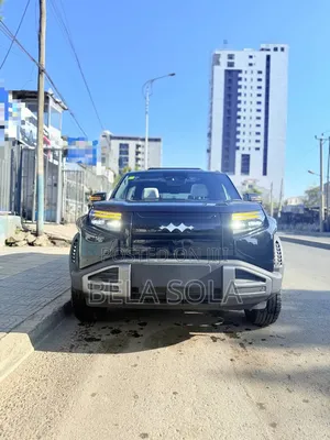 New BYD Leopard 3 2026 Black