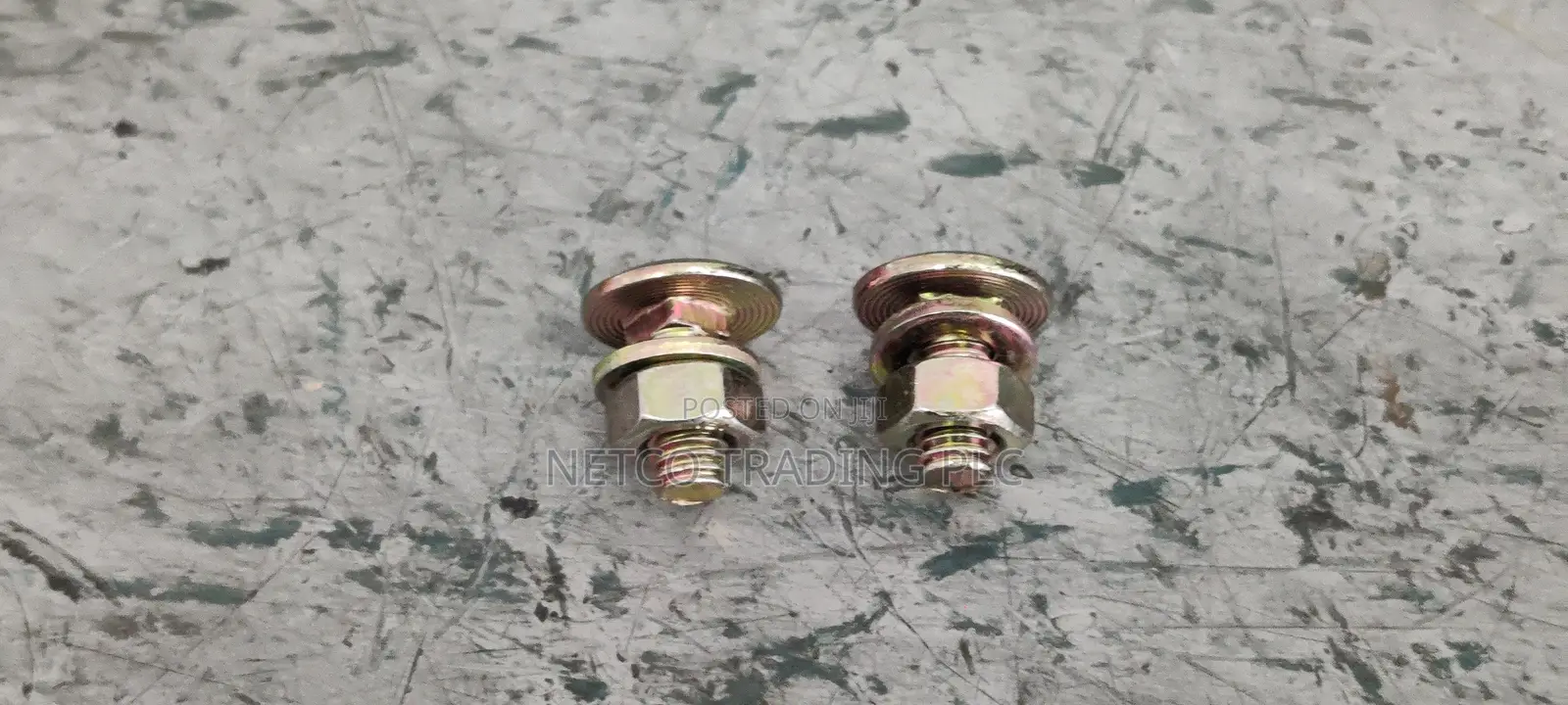 Dixon Shelf Bolt & Nuts 6mm