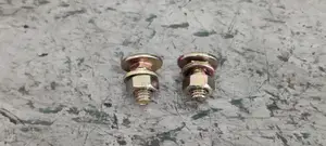 Dixon Shelf Bolt & Nuts 6mm