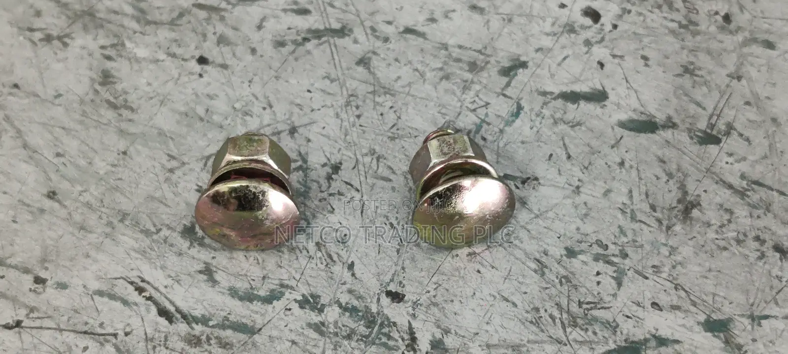 Dixon Shelf Bolt & Nuts 6mm
