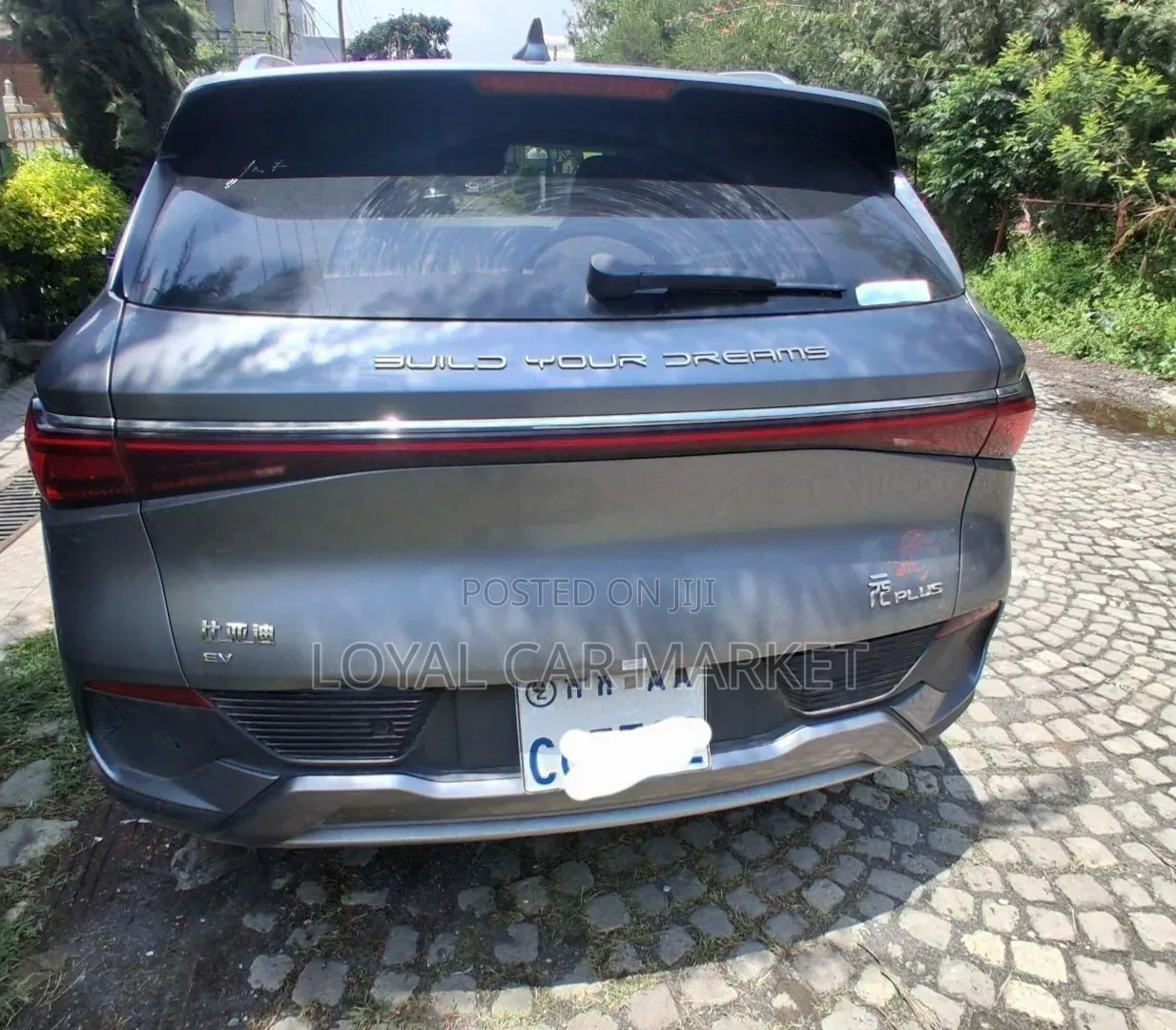 BYD Yuan Plus 2024 Gray