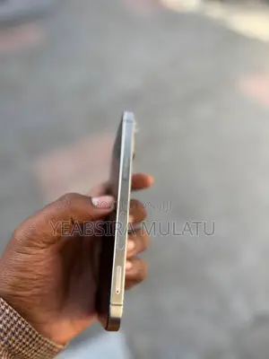 Apple iPhone 15 Pro Max 256 GB Silver