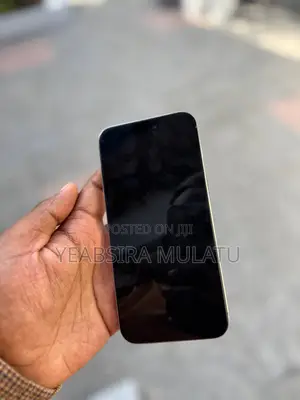 Apple iPhone 15 Pro Max 256 GB Silver