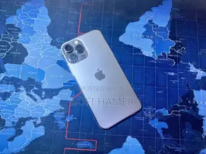 Apple iPhone 13 Pro Max 128 GB Gray